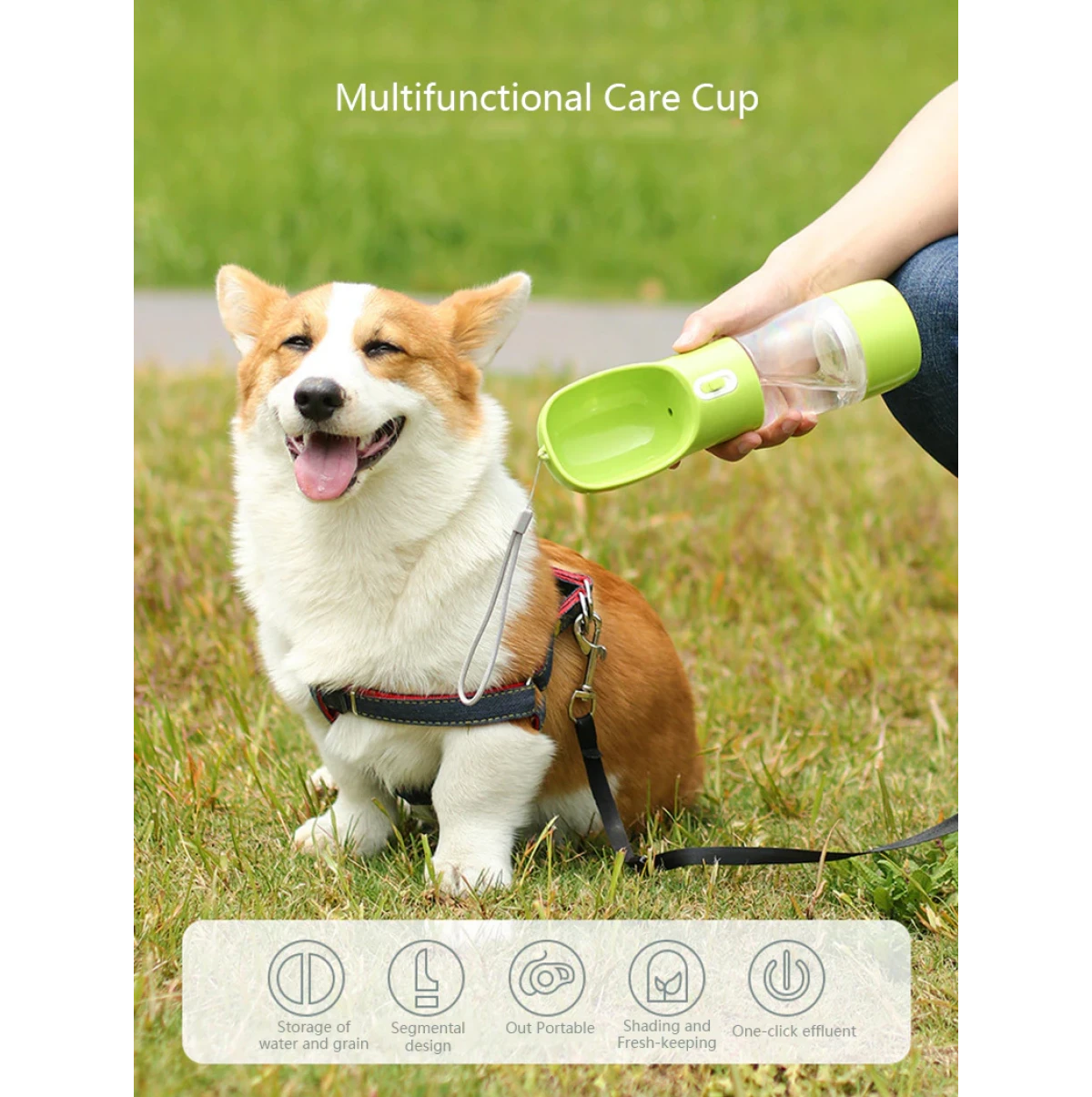 A Water bottle for pets