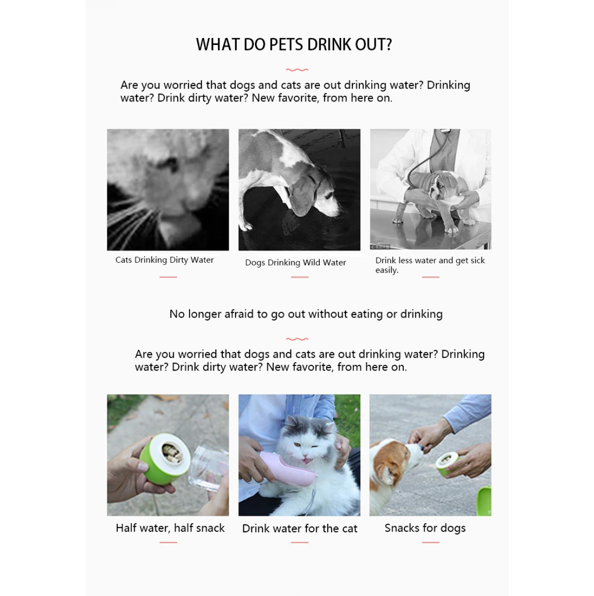 A Water bottle for pets