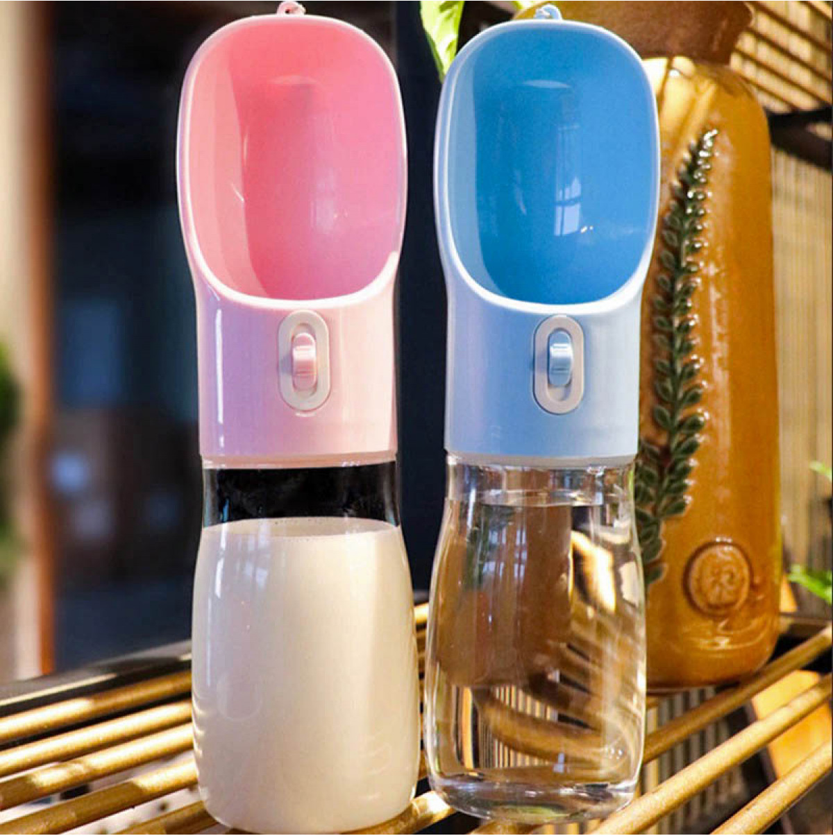 Bouteille d’eau d’alimentation pour animaux