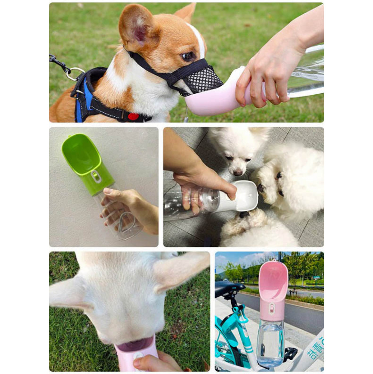 Bouteille d’eau d’alimentation pour animaux