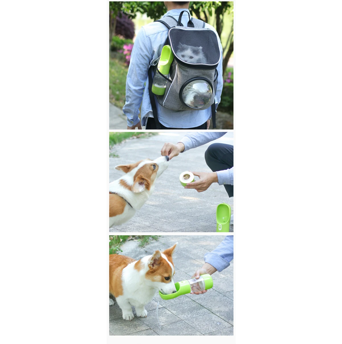 A Water bottle for pets